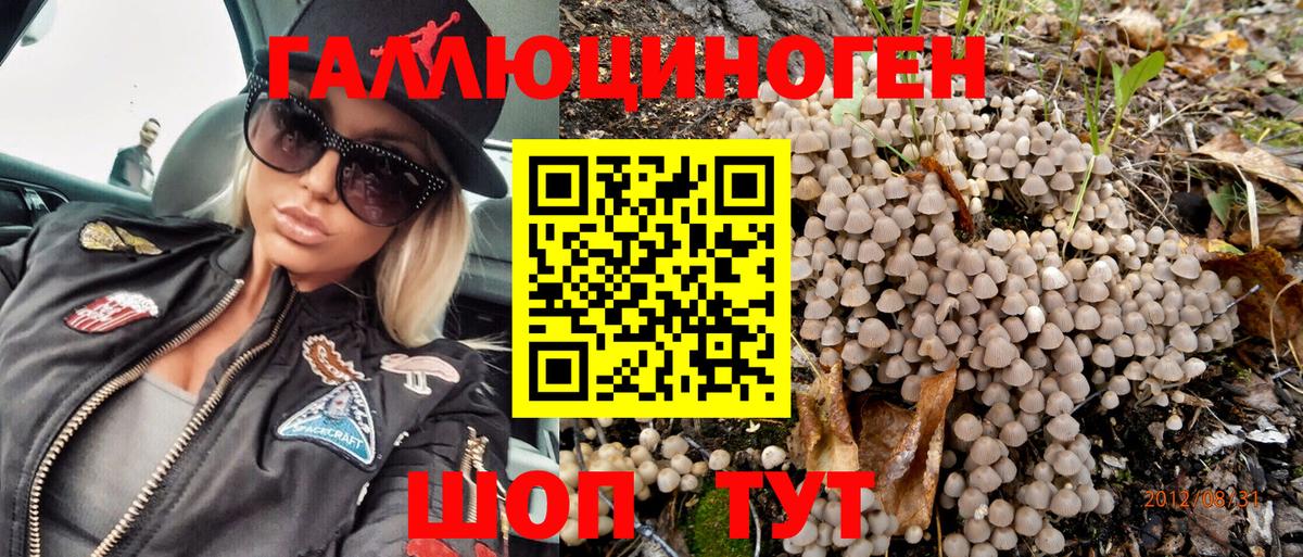 Галлюциногенные грибы MAGIC MUSHROOMS Павловский Посад