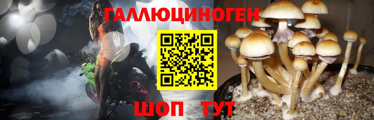 Галлюциногенные грибы GOLDEN TEACHER  Вход с VPN  Павловский Посад 